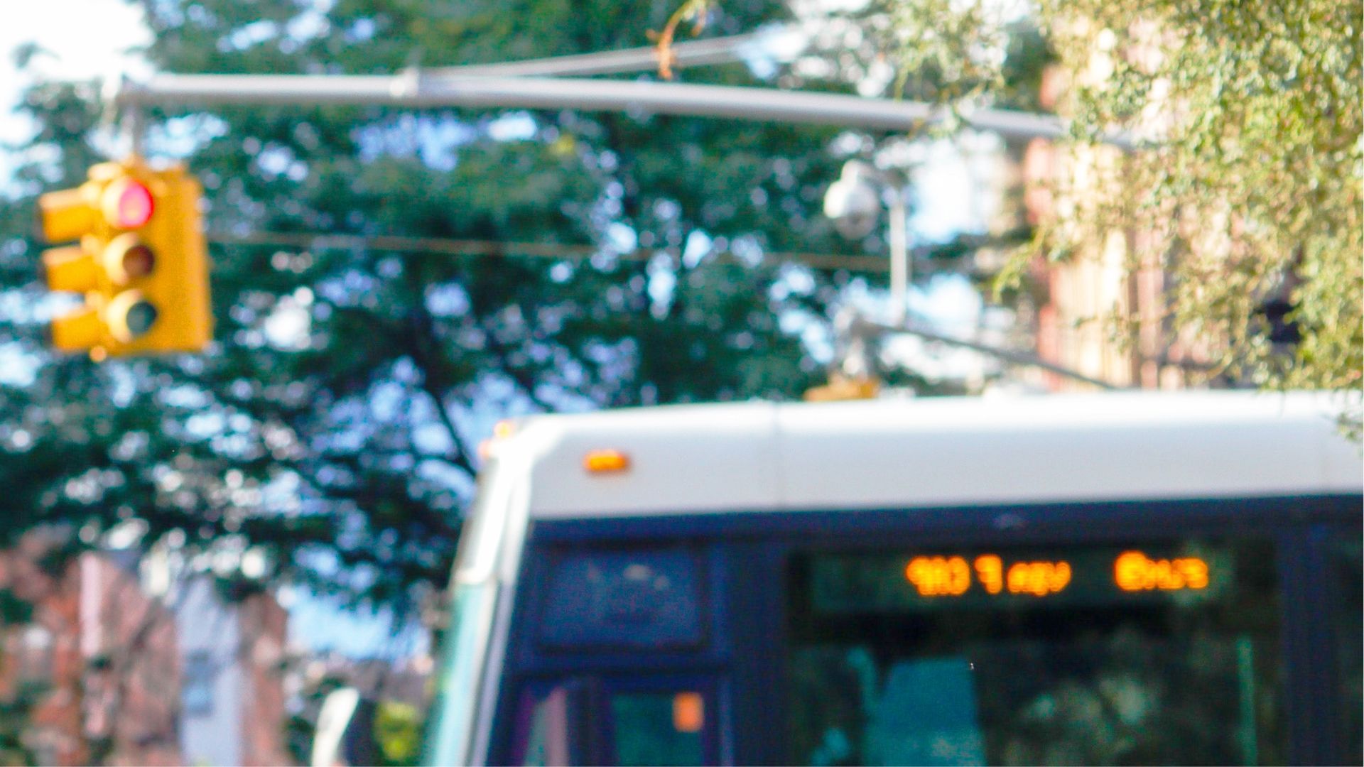 A man looking at his phone intently, bus in background.